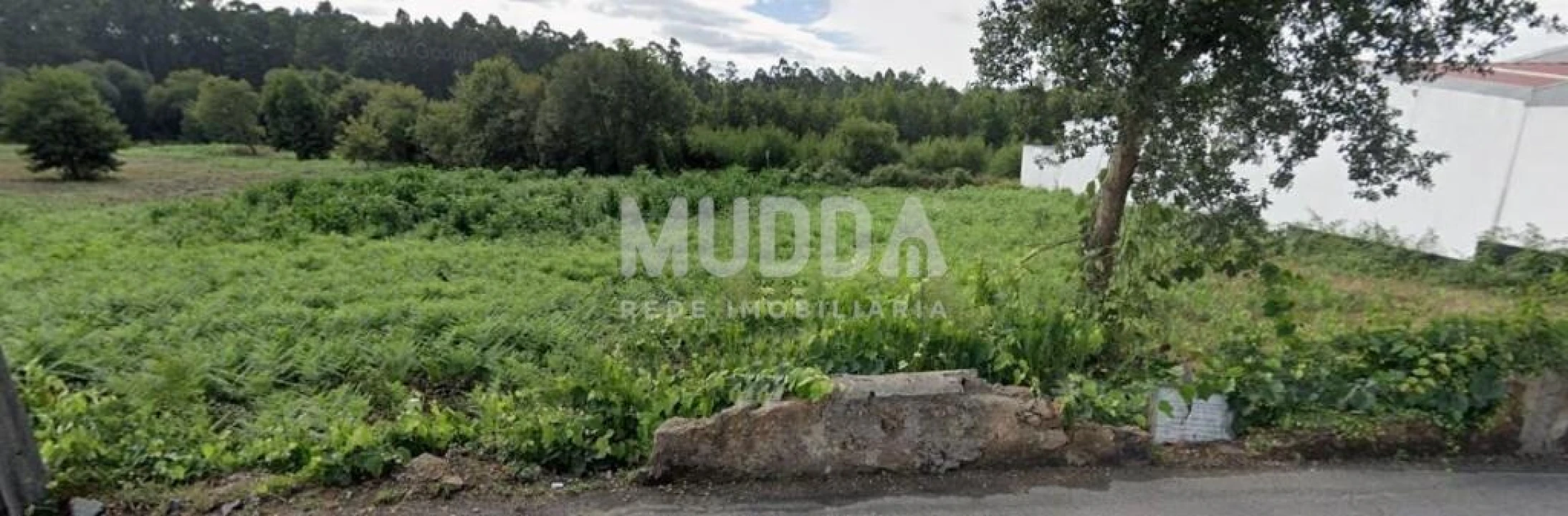Terreno para Venda em Santa Maria da Feira, Travanca, Sanfins e Espargo Foto 2