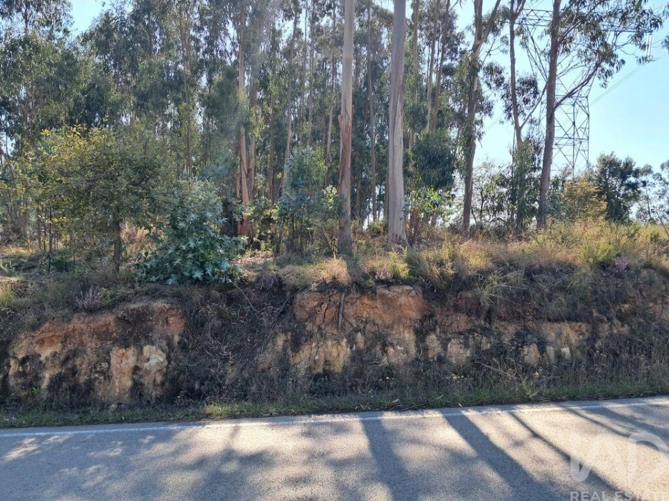Terreno para Venda em Souto da Carpalhosa e Ortigosa Foto 1