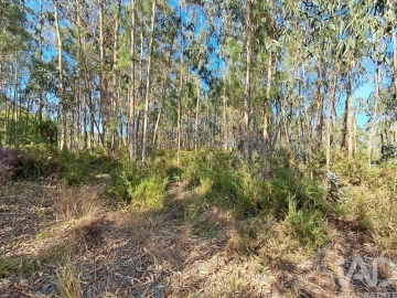 Terreno para Venda em Souto da Carpalhosa e Ortigosa