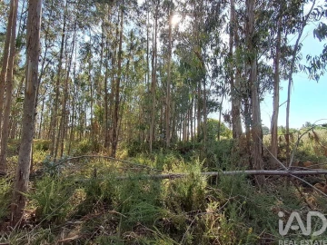 Terreno para Venda em Souto da Carpalhosa e Ortigosa