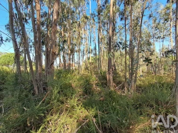 Terreno para Venda em Souto da Carpalhosa e Ortigosa