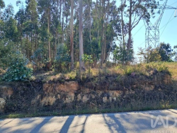 Terreno para Venda em Souto da Carpalhosa e Ortigosa