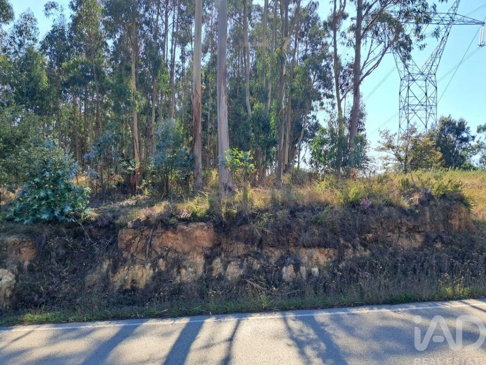 Terreno para Venda em Souto da Carpalhosa e Ortigosa Foto 13