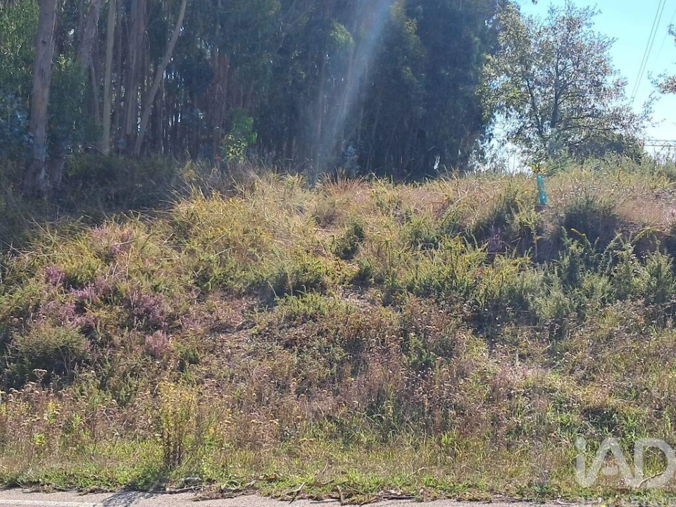 Terreno para Venda em Souto da Carpalhosa e Ortigosa Foto 2