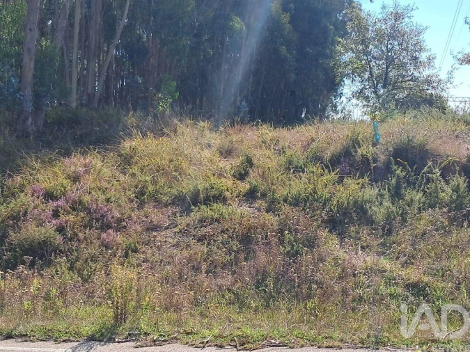 Terreno para Venda em Souto da Carpalhosa e Ortigosa Foto 2
