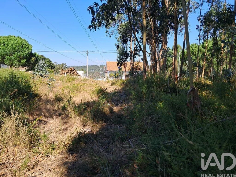 Terreno para Venda em Souto da Carpalhosa e Ortigosa Foto 3