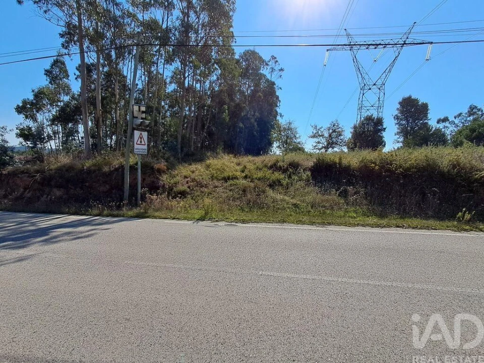 Terreno para Venda em Souto da Carpalhosa e Ortigosa Foto 12