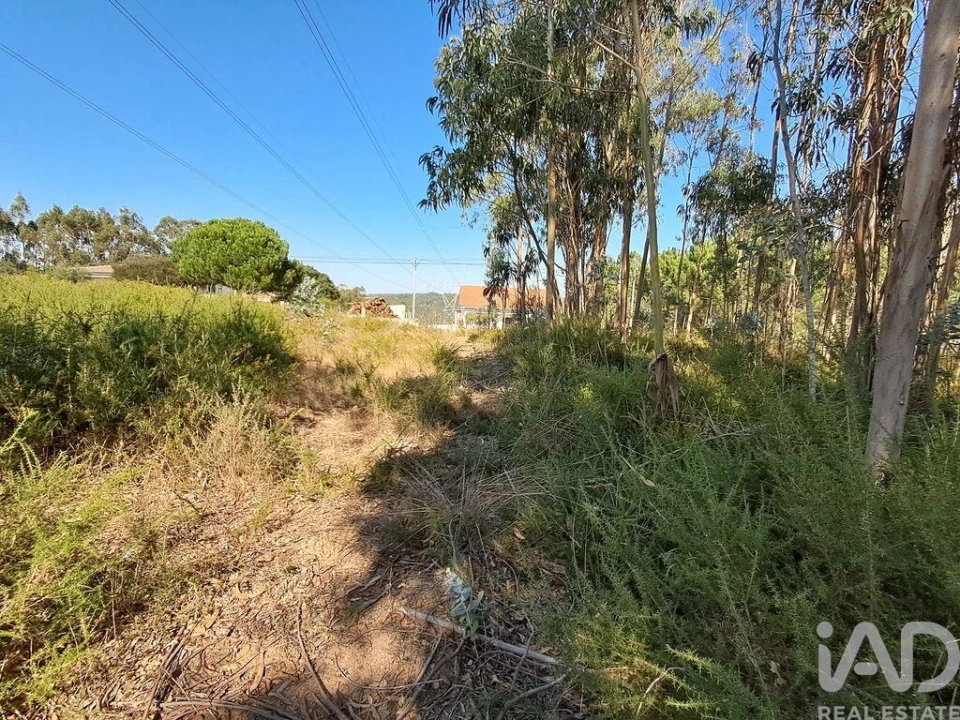 Terreno para Venda em Souto da Carpalhosa e Ortigosa Foto 5