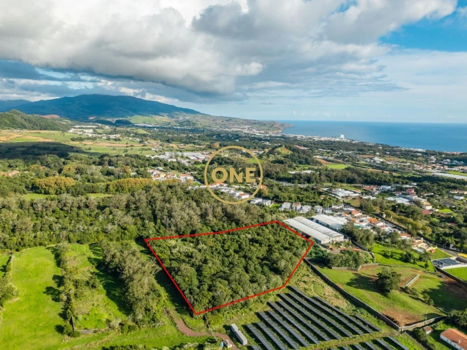 Terreno para Venda em Rosto do Cão (Livramento) Foto 5