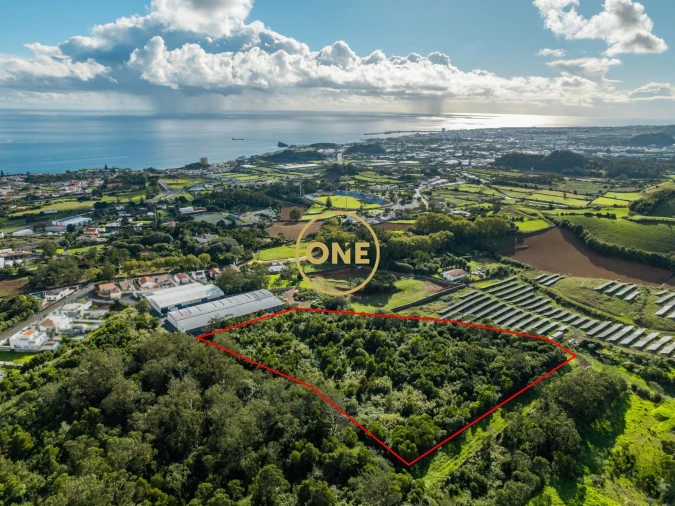 Terreno para Venda em Rosto do Cão (Livramento) Foto 2