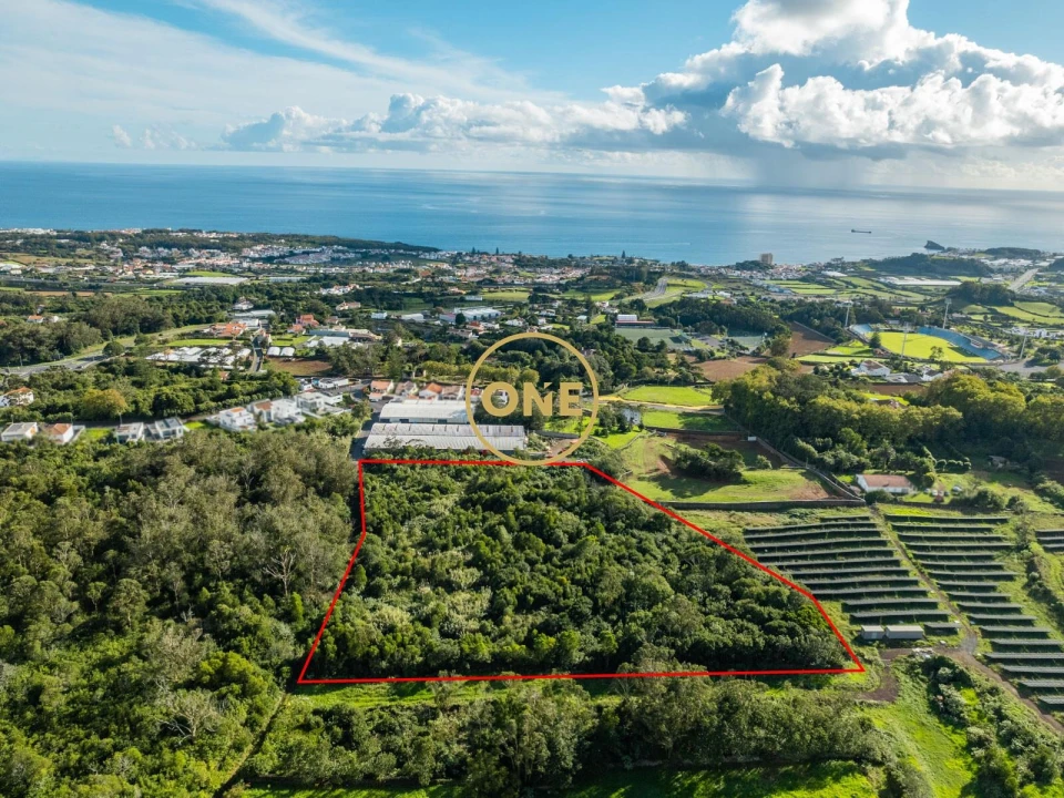 Terreno para Venda em Rosto do Cão (Livramento) Foto 1