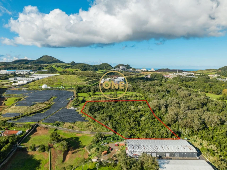 Terreno para Venda em Rosto do Cão (Livramento) Foto 4