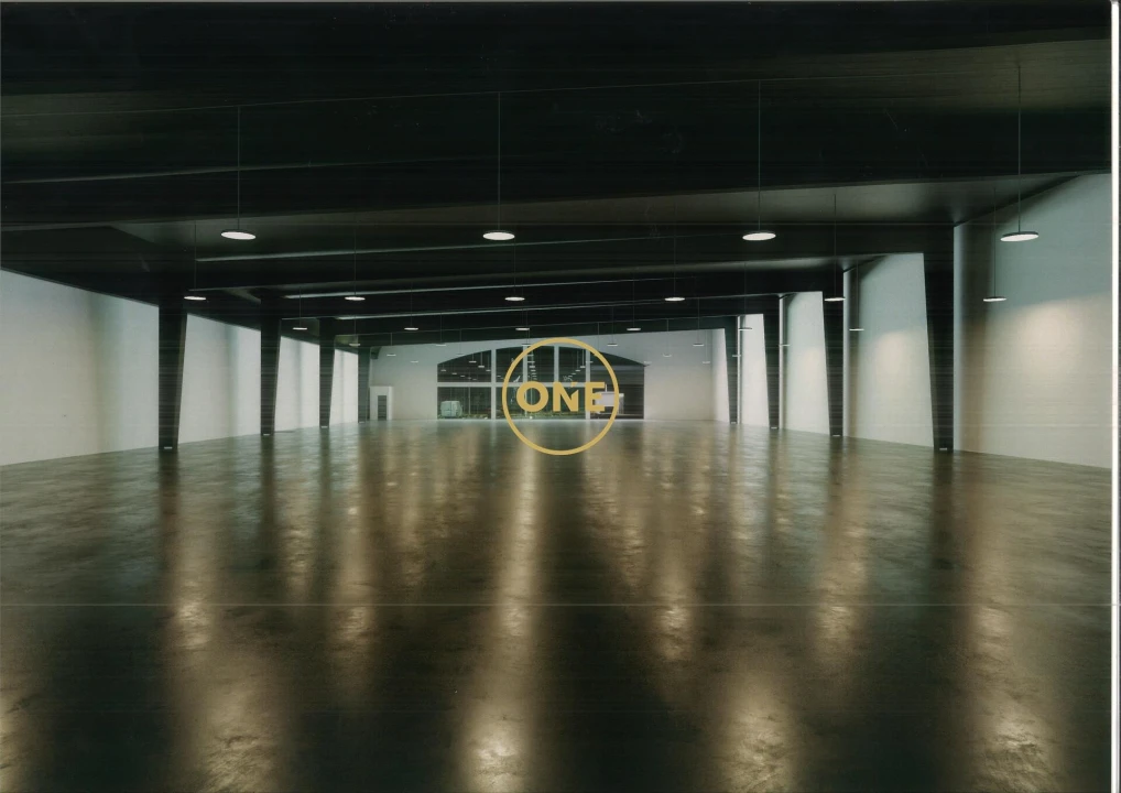 Terreno para Venda em Avidos e Lagoa Foto 11