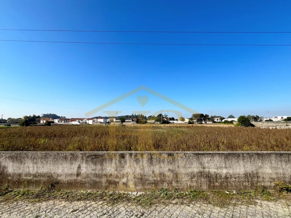 Terreno para Venda em Aguçadoura e Navais Foto 6