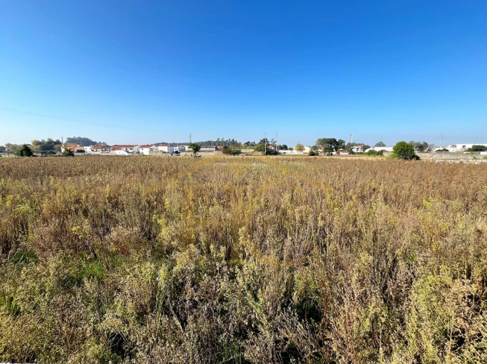 Terreno para Venda em Aguçadoura e Navais Foto 7