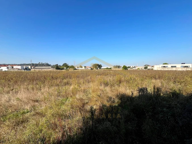 Terreno para Venda em Aguçadoura e Navais Foto 2