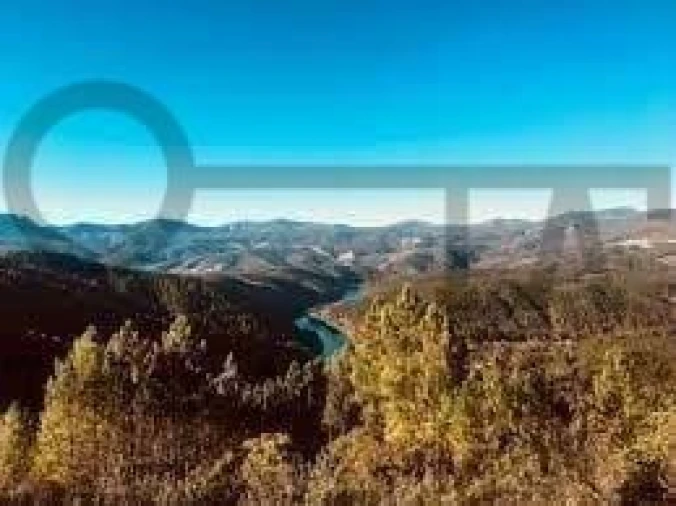 Negócio para Venda em Fundão, Valverde, Donas, A. Joanes, A. Nova Cabo Foto 12