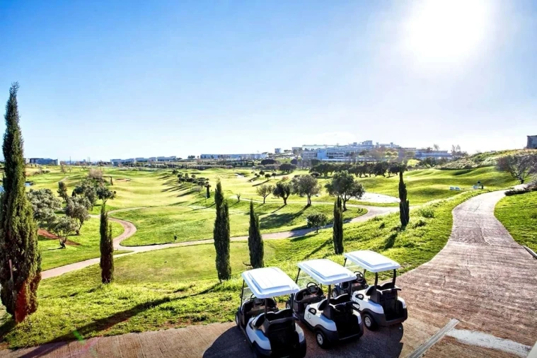 Terreno para Venda em Barcarena Foto 9