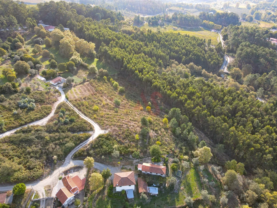 Terreno Agricola ou Rústico para Venda em Travanca Foto 9