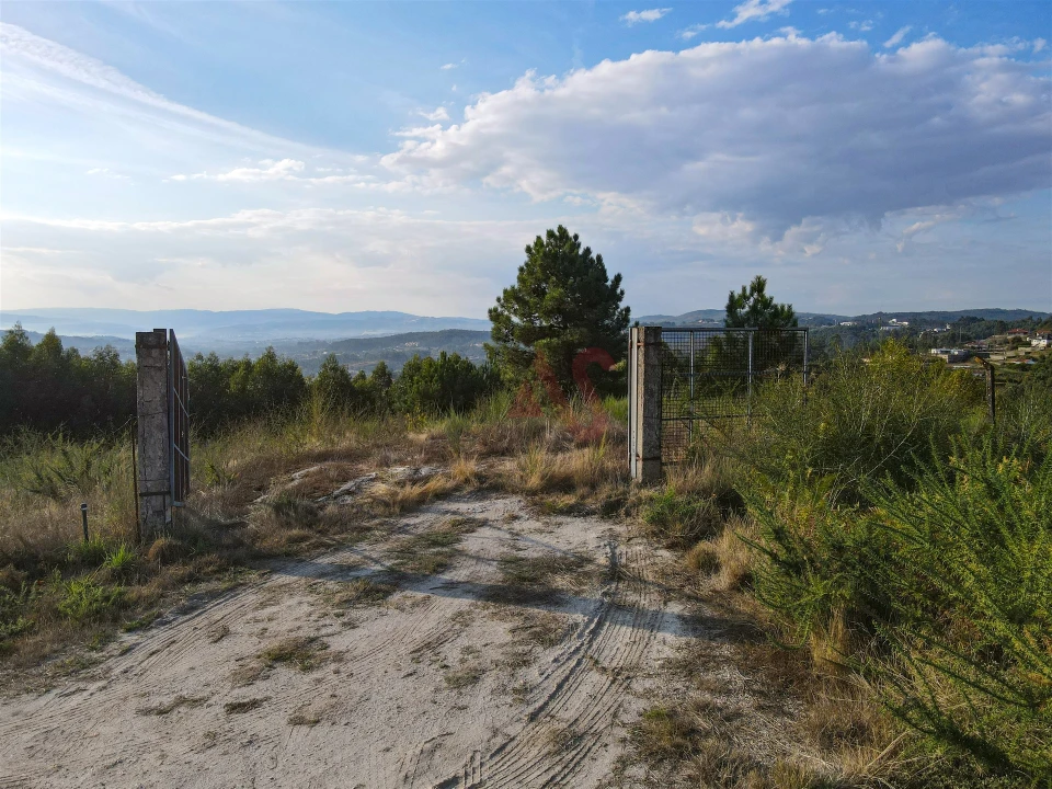 Terreno Agricola ou Rústico para Venda em Travanca Foto 11