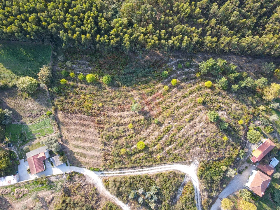 Terreno Agricola ou Rústico para Venda em Travanca Foto 5