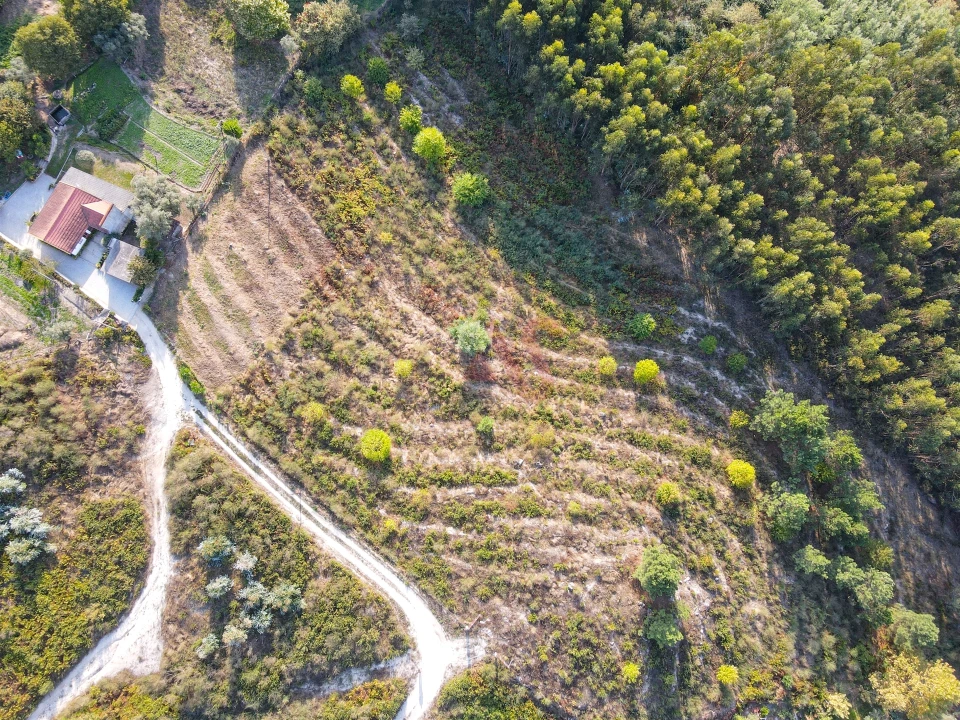 Terreno Agricola ou Rústico para Venda em Travanca Foto 4