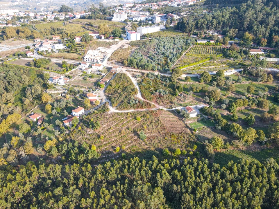 Terreno Agricola ou Rústico para Venda em Travanca Foto 6