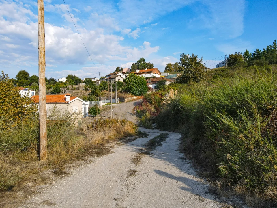 Terreno Agricola ou Rústico para Venda em Travanca Foto 13