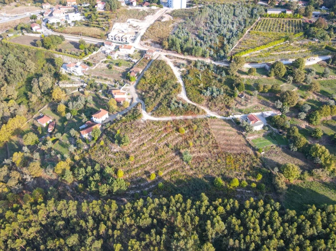 Terreno Agricola ou Rústico para Venda em Travanca Foto 7