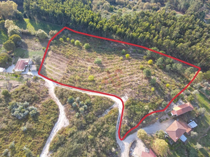 Terreno Agricola ou Rústico para Venda em Travanca Foto 3