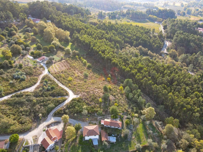Terreno Agricola ou Rústico para Venda em Travanca Foto 9