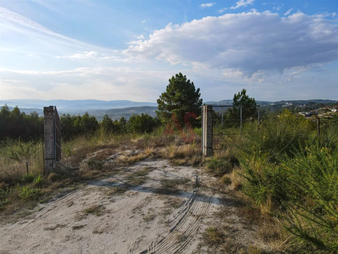 Terreno Agricola ou Rústico para Venda em Travanca Foto 11