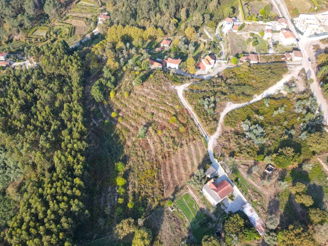 Terreno Agricola ou Rústico para Venda em Travanca Foto 8