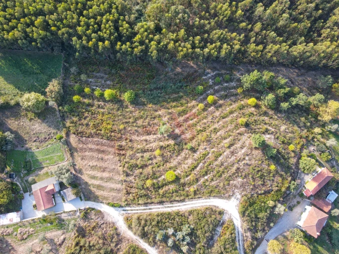Terreno Agricola ou Rústico para Venda em Travanca Foto 5