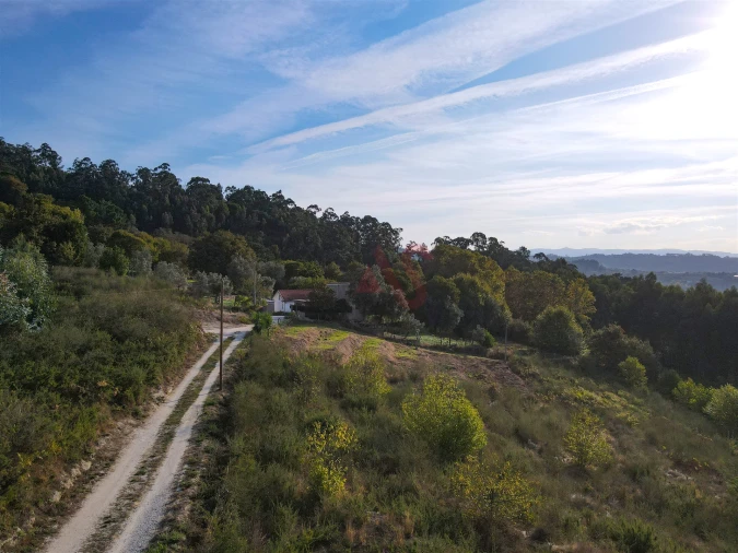 Terreno Agricola ou Rústico para Venda em Travanca Foto 16