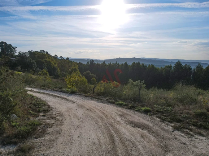 Terreno Agricola ou Rústico para Venda em Travanca Foto 12