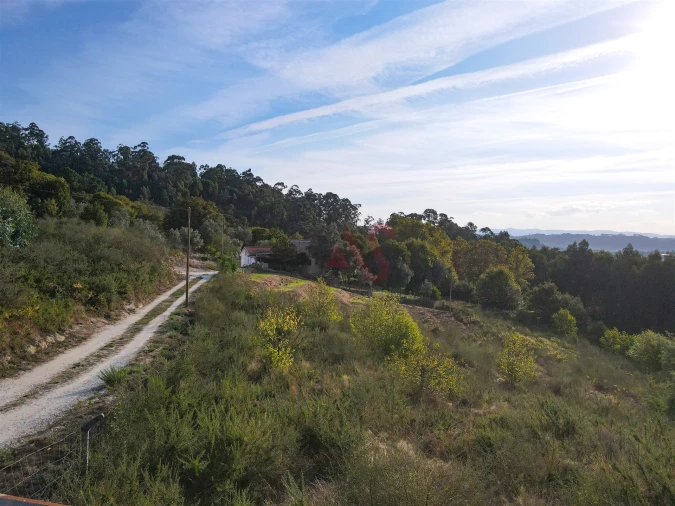Terreno Agricola ou Rústico para Venda em Travanca Foto 14