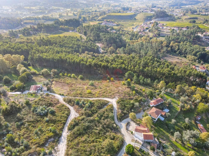Terreno Agricola ou Rústico para Venda em Travanca Foto 10