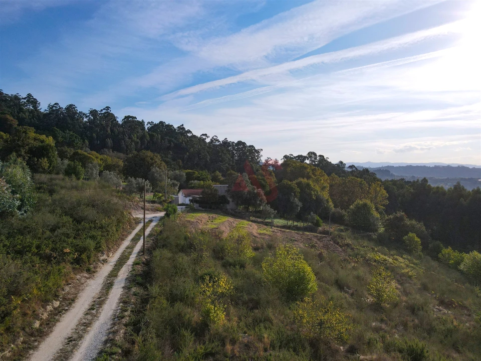 Terreno Agricola ou Rústico para Venda em Travanca Foto 16