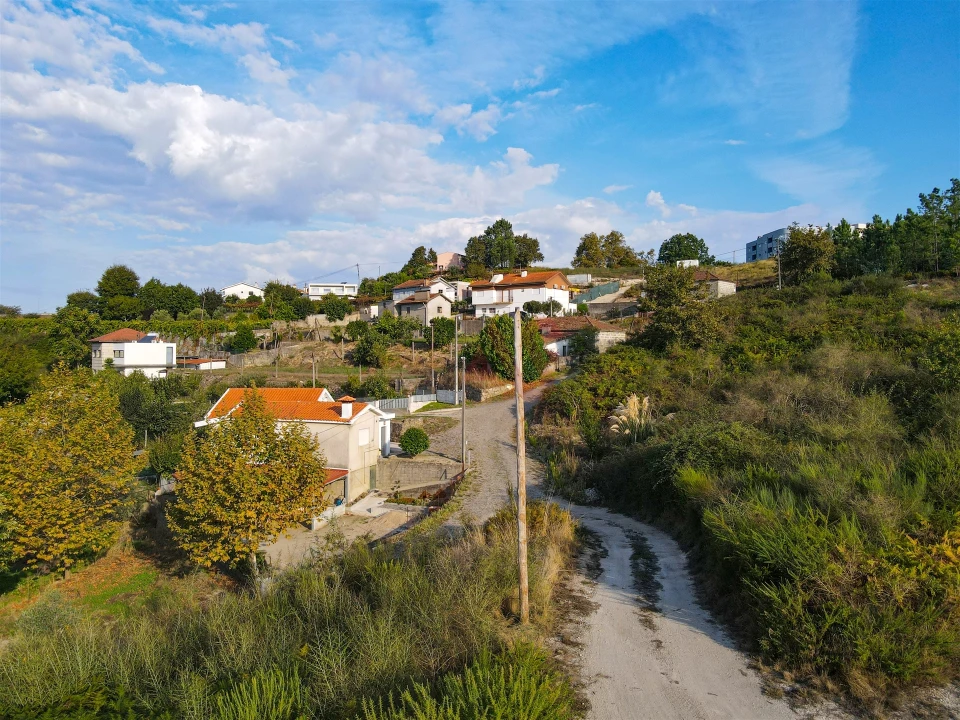 Terreno Agricola ou Rústico para Venda em Travanca Foto 15