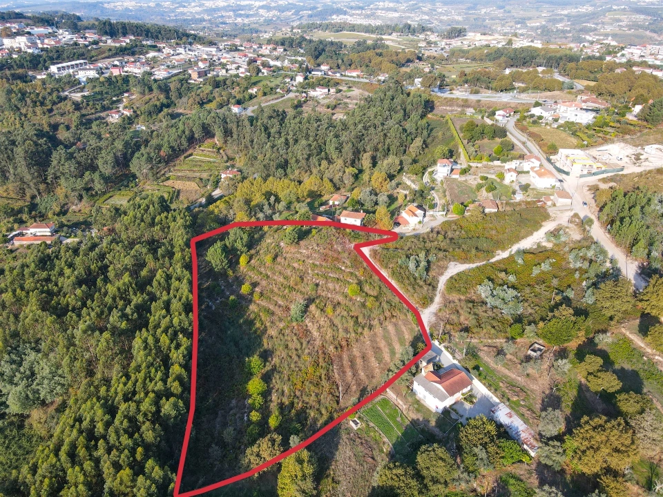 Terreno Agricola ou Rústico para Venda em Travanca Foto 2