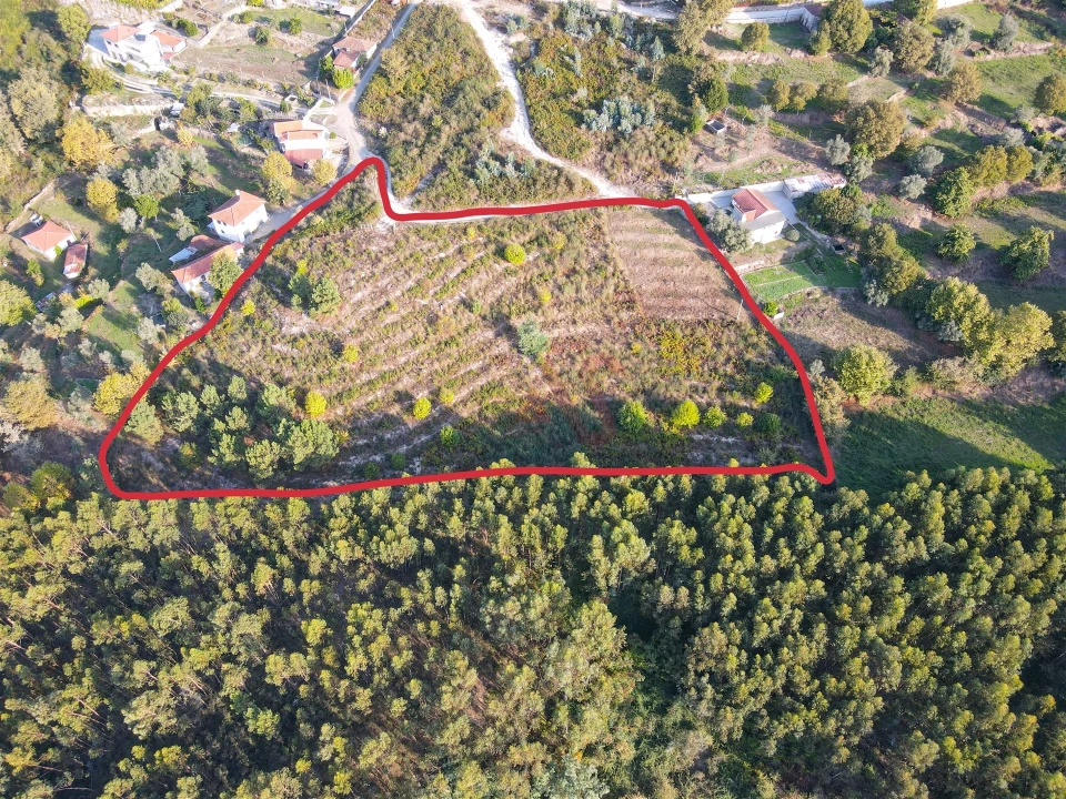 Terreno Agricola ou Rústico para Venda em Travanca Foto 1