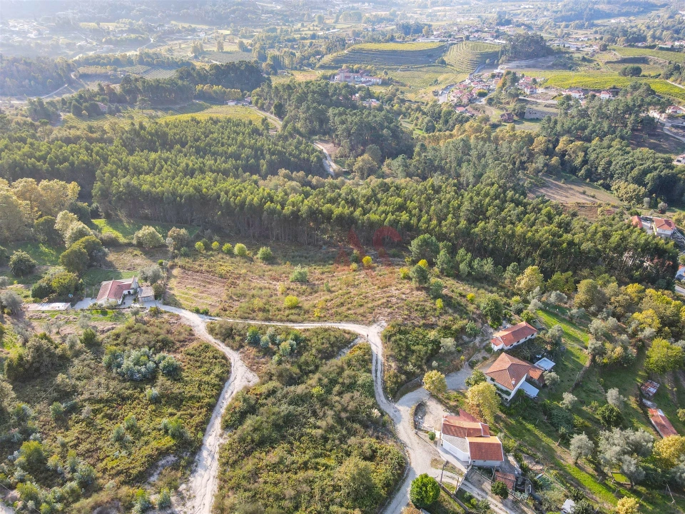 Terreno Agricola ou Rústico para Venda em Travanca Foto 10