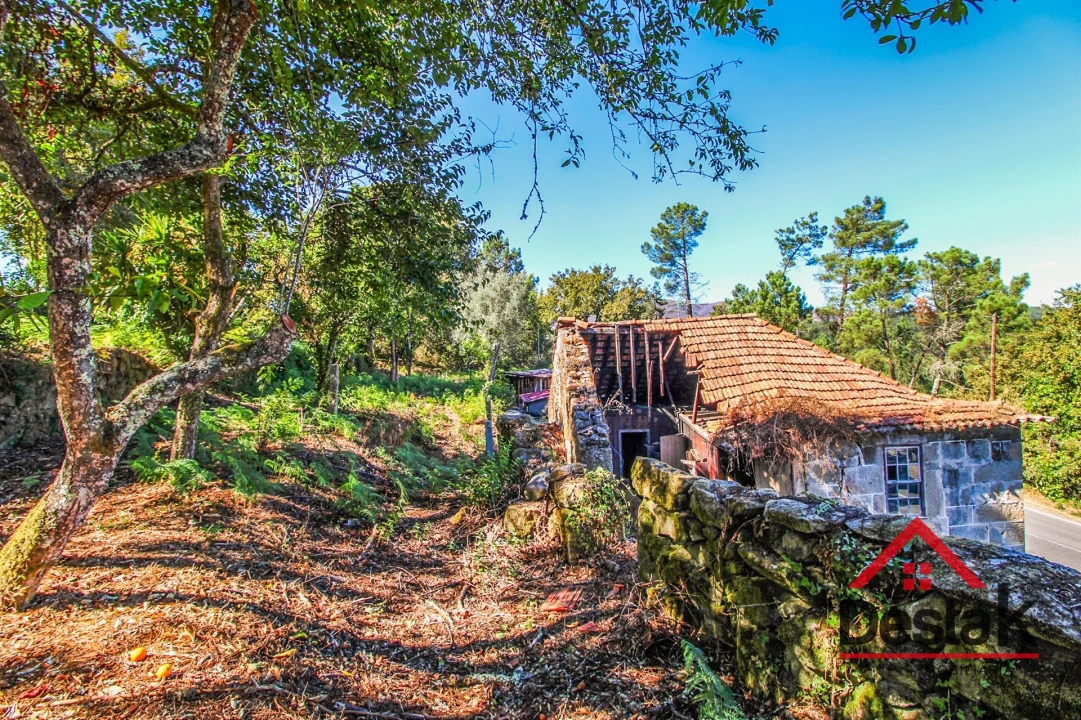 Moradia T0 para Venda em Bordonhos Foto 19