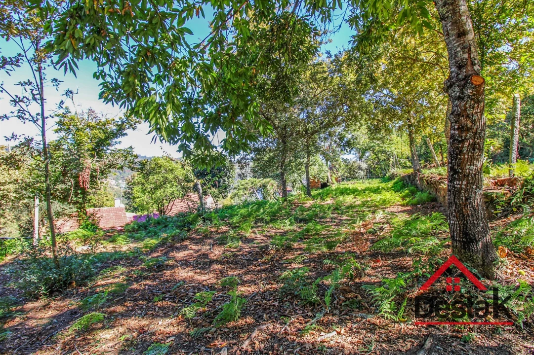 Moradia T0 para Venda em Bordonhos Foto 16