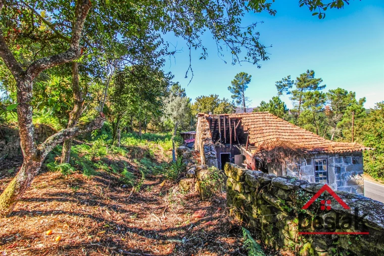 Moradia T0 para Venda em Bordonhos Foto 19