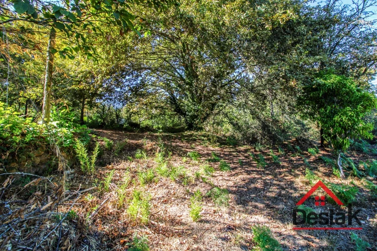 Moradia T0 para Venda em Bordonhos Foto 22