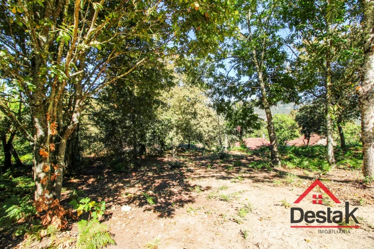 Moradia T0 para Venda em Bordonhos Foto 14