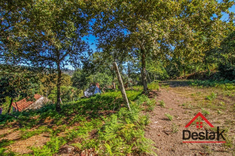 Moradia T0 para Venda em Bordonhos Foto 18