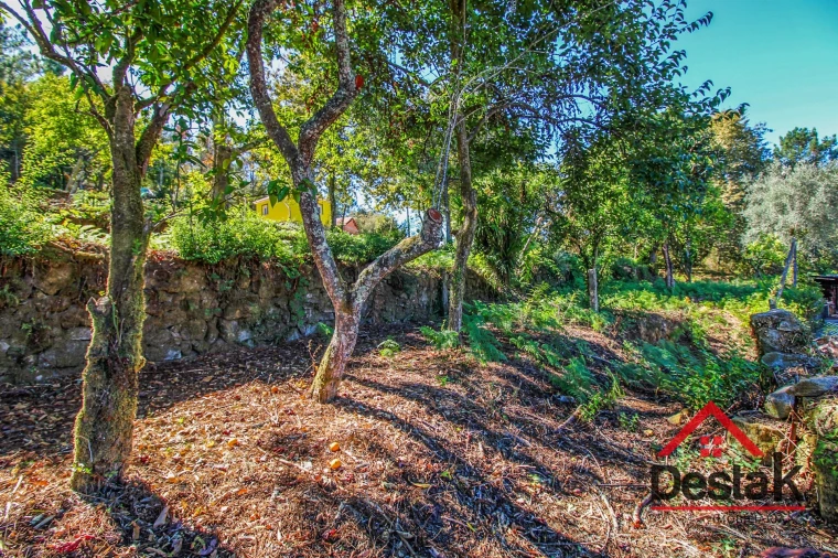 Moradia T0 para Venda em Bordonhos Foto 21